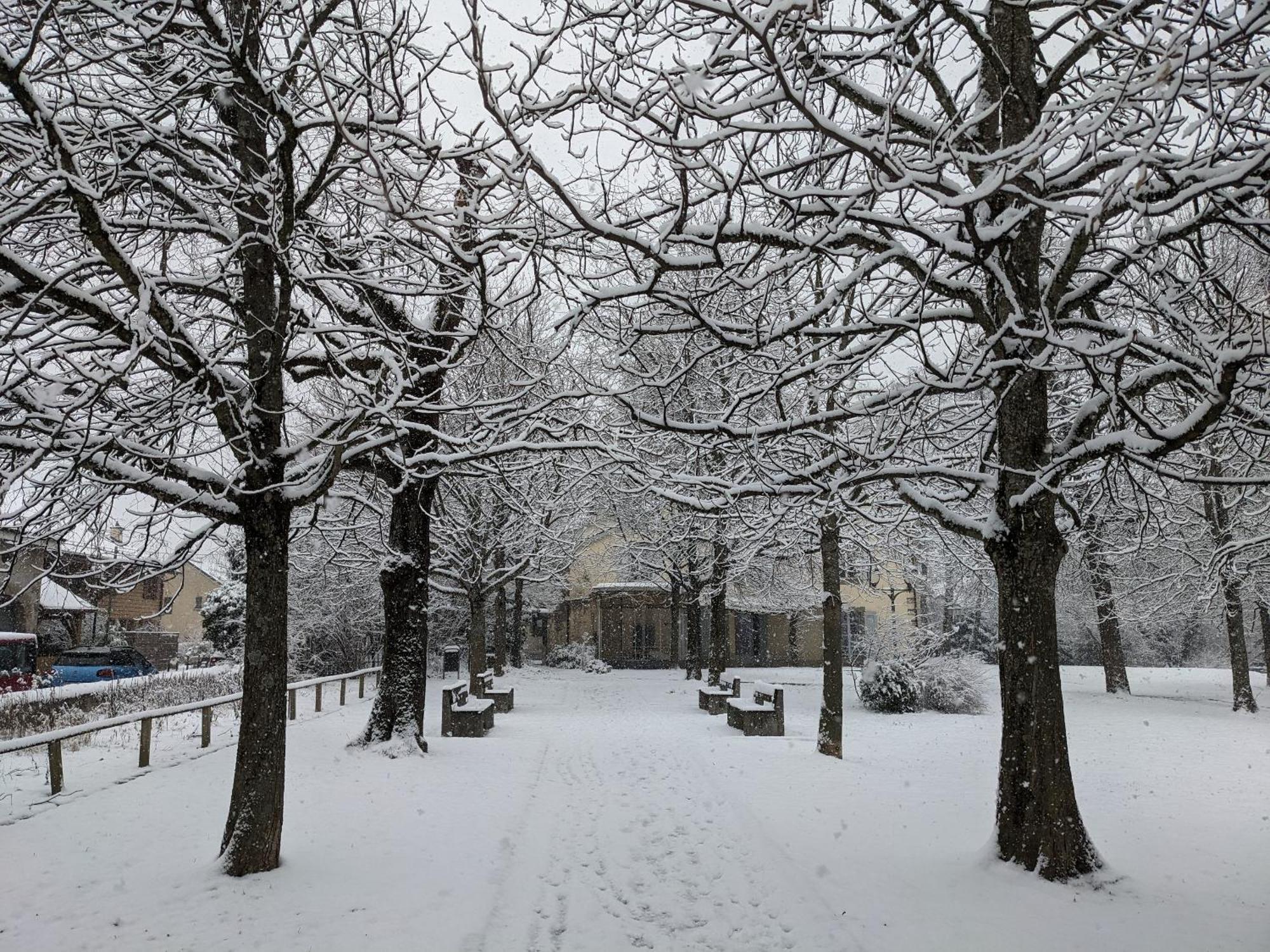 Habitación en casa particular I Vernier, Ginebra